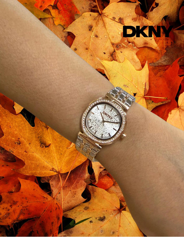 DKNY Ladies Watch
